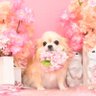 RAM0719's profile picture