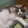 JUN profil fotoğrafı
