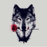 الكابتن احمد THE OLD WOLF 的头像