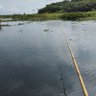 Фото профиля Brasileiro 🌊