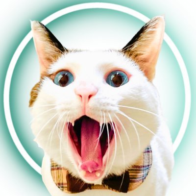アクビ猫つくね🐾's profile picture