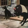 Whiskey Tango's profile picture