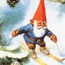 Stay-At-Home-Monk🌲's profile picture