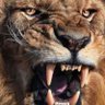 ufuk gurul's profile picture