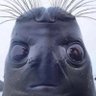 Profilbild von wessim38