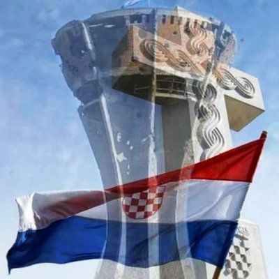 Nikita Stoja's profile picture