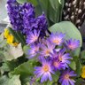 Фото профиля islandgirl927