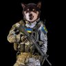 Фото профиля Black OP Fella. 🇺🇸🇺🇸🇺🇦🇺🇦.