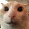 Profilbild von puff
