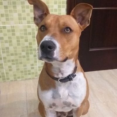 JD's profile picture