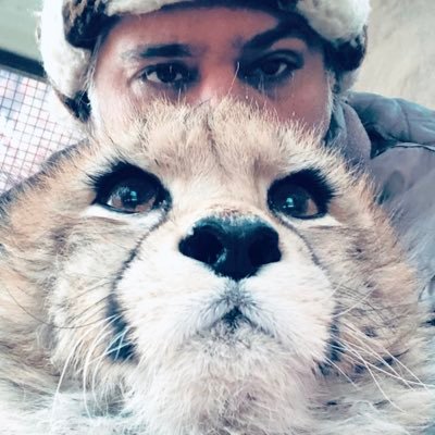 AShahrdari's profile picture