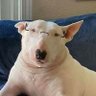 rojas_f's profile picture