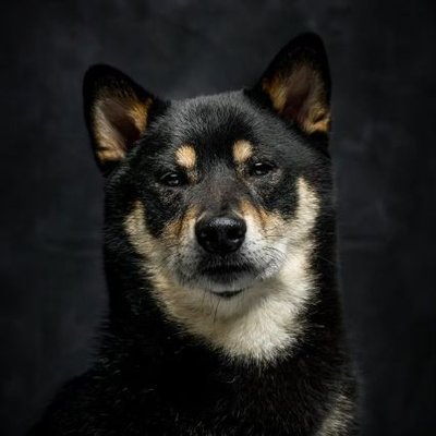 黒柴さてつ's profile picture