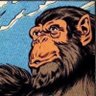 Chief Infinite Monkey 的头像