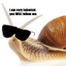 bad drawings of snails.'s profile picture