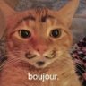 Profilbild von Franco7
