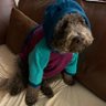 Eileen Wilson Bensen's profile picture