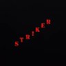 THE STRIKER 的头像