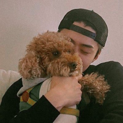 삐약's profile picture