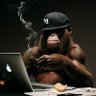 Jayant T profil fotoğrafı