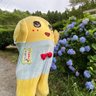 のんちゃん profil fotoğrafı