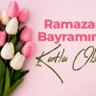 sibirya kurdu profil fotoğrafı