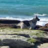 Yossi. Ben profil fotoğrafı