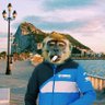 el-piojoso 的头像