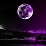 silent moon🌔 profil fotoğrafı