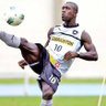 Profilbild von SeedorfFB🇺🇦