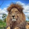 scott reeder's profile picture