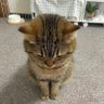 Фото профиля 最近投資を始めました😅