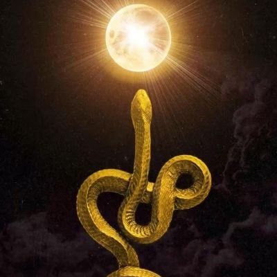 لــمــحــة's profile picture