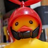 こ 的头像