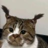 Profilbild von hah?