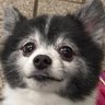 おとの's profile picture