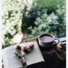 THESIS/DISSERTATION FS WRITER 的头像