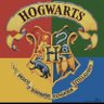 Profilbild von Harry Potter World 🌍