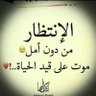 الربع الربع فديتك 的头像
