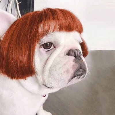 น้องหม่าล่า's profile picture