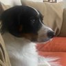 Profilbild von leaven