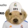 Madridista loyal's profile picture