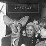 TOPCAT 的头像