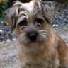 Profilbild von Diane Walmsley