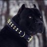 Arkan.'s profile picture