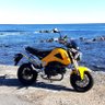 Profilbild von BUCHI RIDER