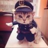 Officer Kittens's profile picture