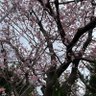 みつくら profil fotoğrafı