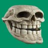 Human's profile picture