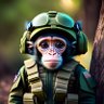 Фото профиля CombatMonkey